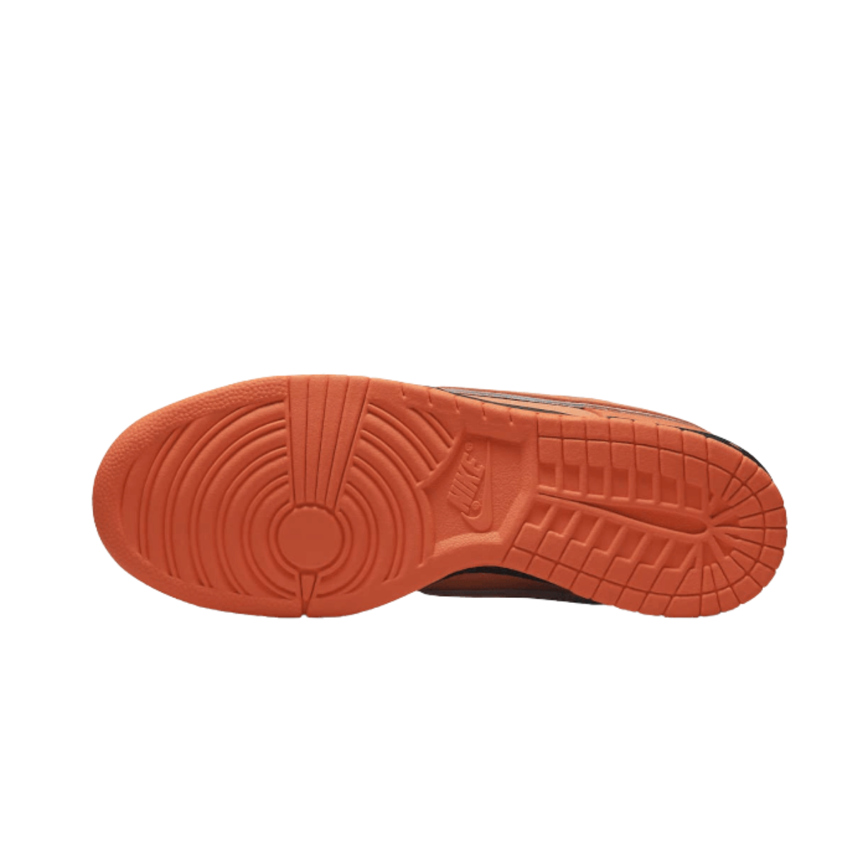 Nike SB Dunk Low Concepts Orange Lobster